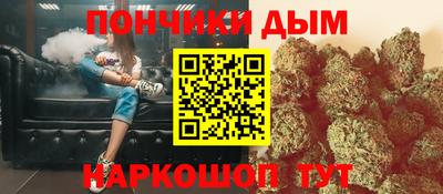 мдпв Бийск