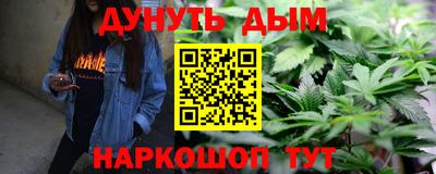 мдпв Бийск