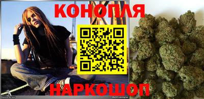 мдпв Бийск
