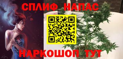 ГАЛЛЮЦИНОГЕННЫЕ ГРИБЫ Берёзовский