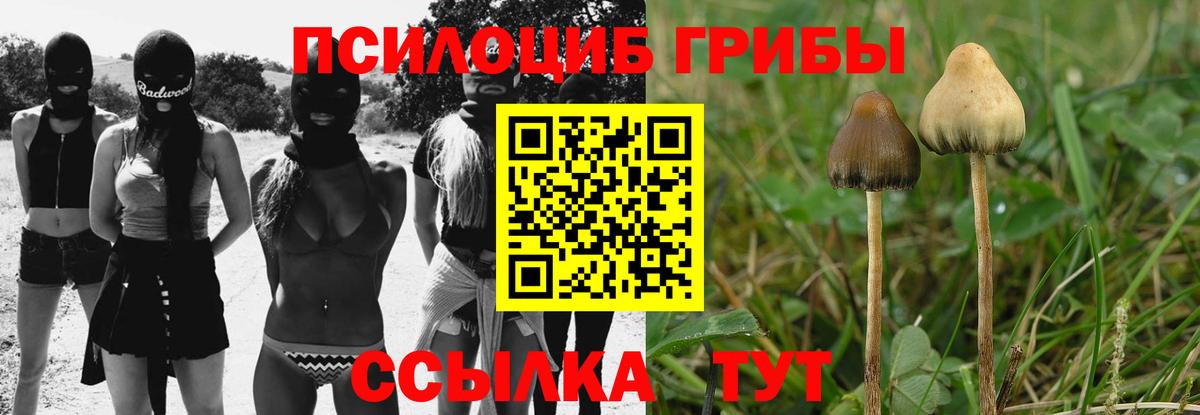 Каменск-Уральский  Псилоцибиновые грибы ЛСД  Вход с VPN 